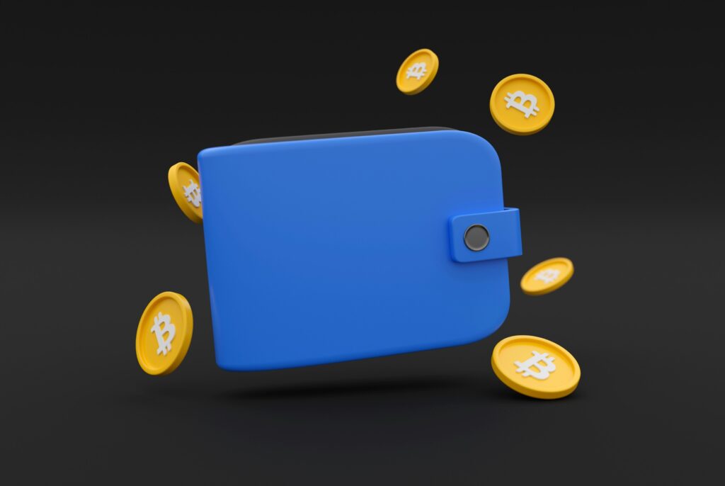 Waa Maxay Crypto Wallet?2025